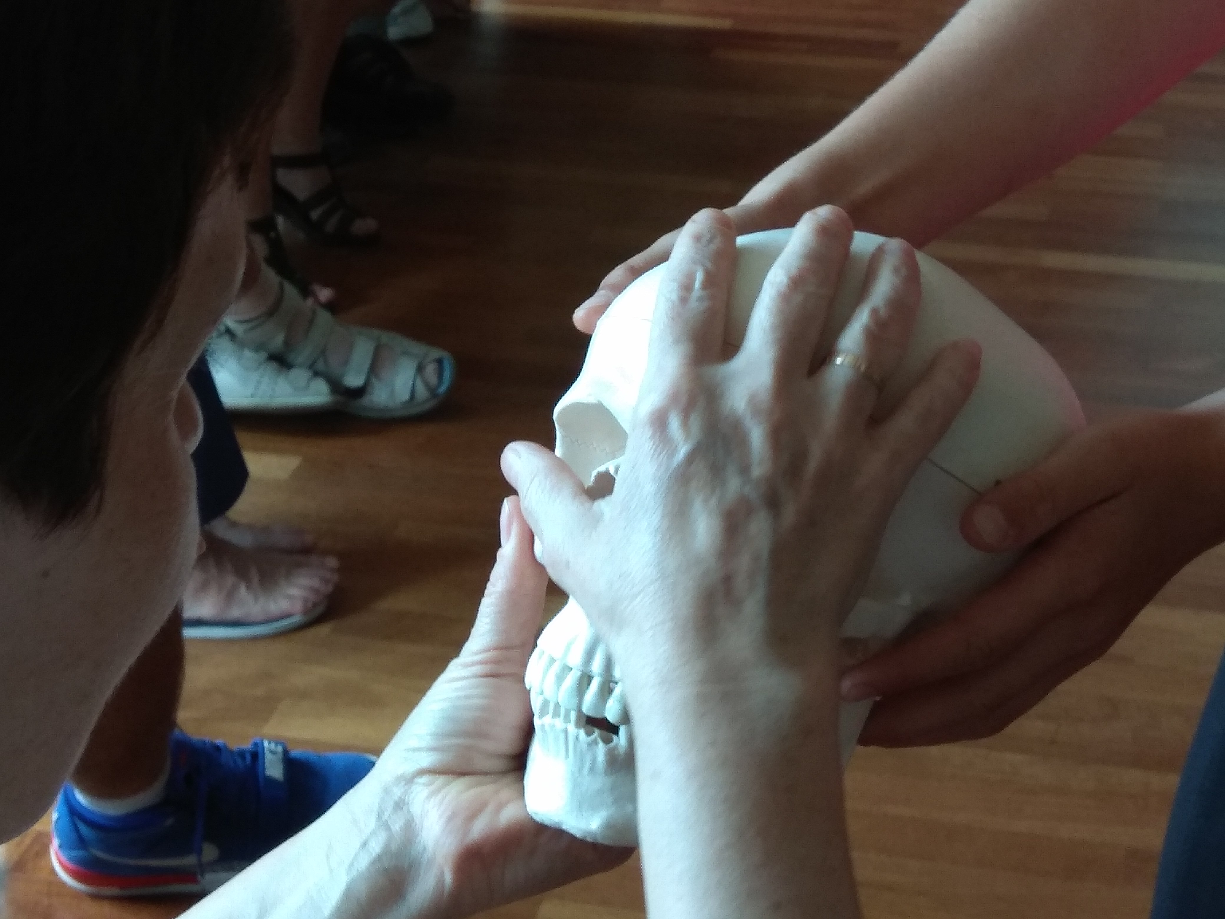 Dwoje uczestników poznaje dotykiem model czaszki ludzkiej.